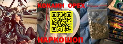 ПСИЛОЦИБИНОВЫЕ ГРИБЫ Канаш