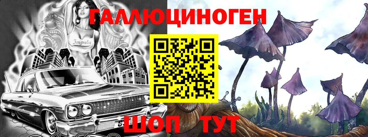 Ликино-Дулёво  Псилоцибиновые грибы прущие грибы  Вход с VPN  Псилоцибиновые грибы MAGIC MUSHROOMS 