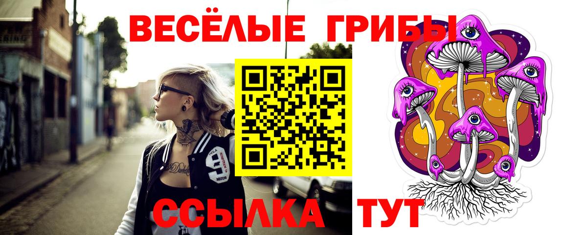 Псилоцибиновые грибы GOLDEN TEACHER Ликино-Дулёво